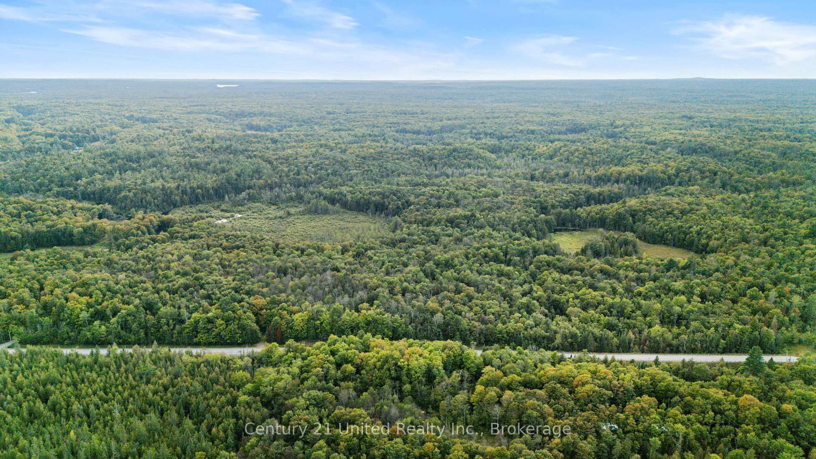 456 County Road 620 • North Kawartha, ON photo 6