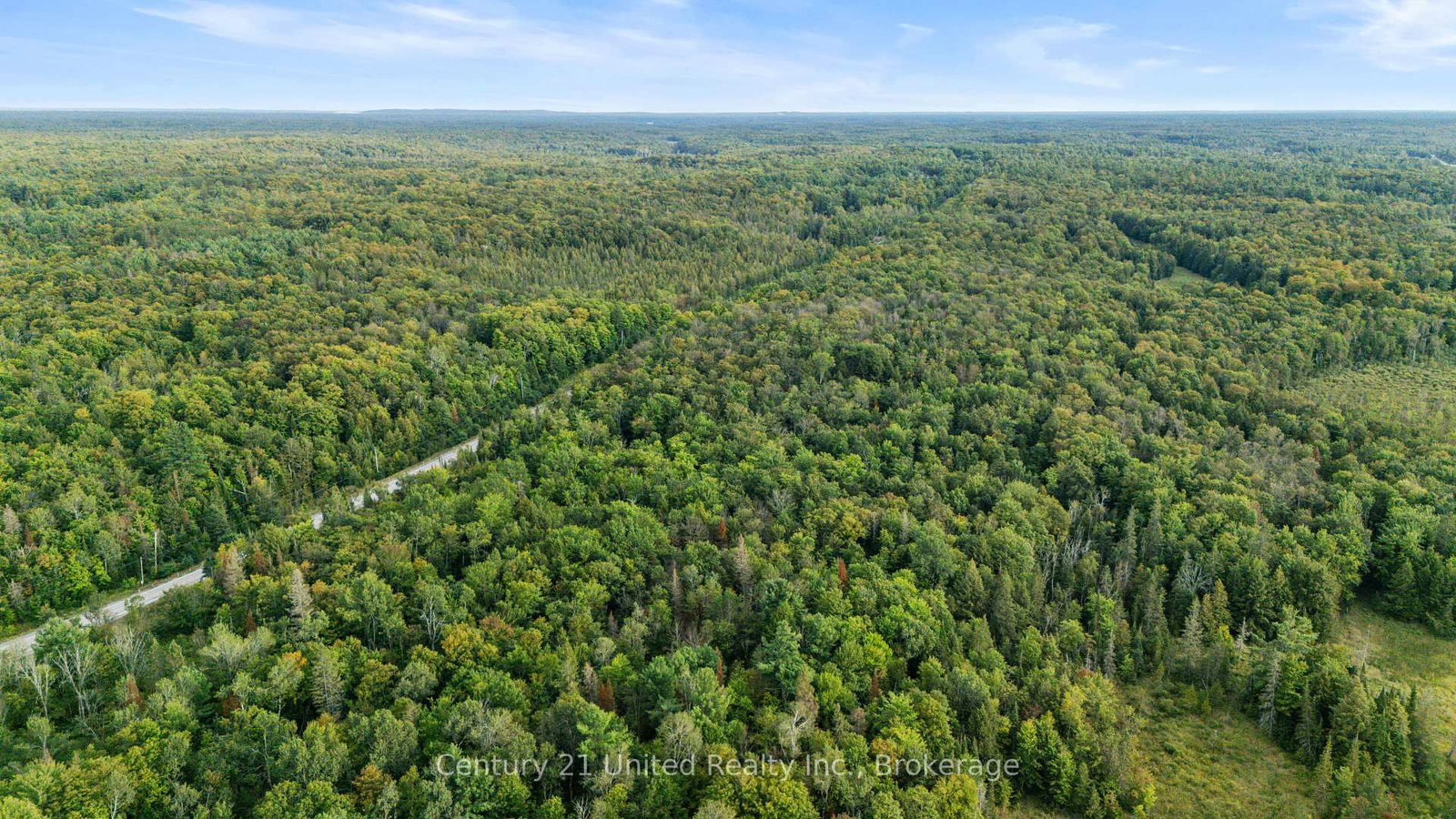 456 County Road 620 • North Kawartha, ON photo 8