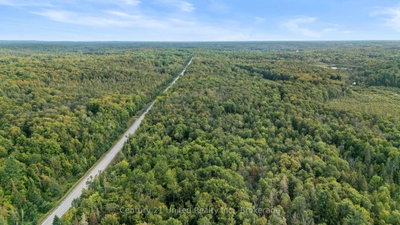 456 County Road 620 • North Kawartha, ON photo 9