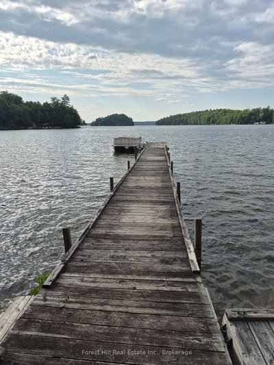1255 Skeleton Lake 2 Road • Muskoka Lakes, ON photo 3
