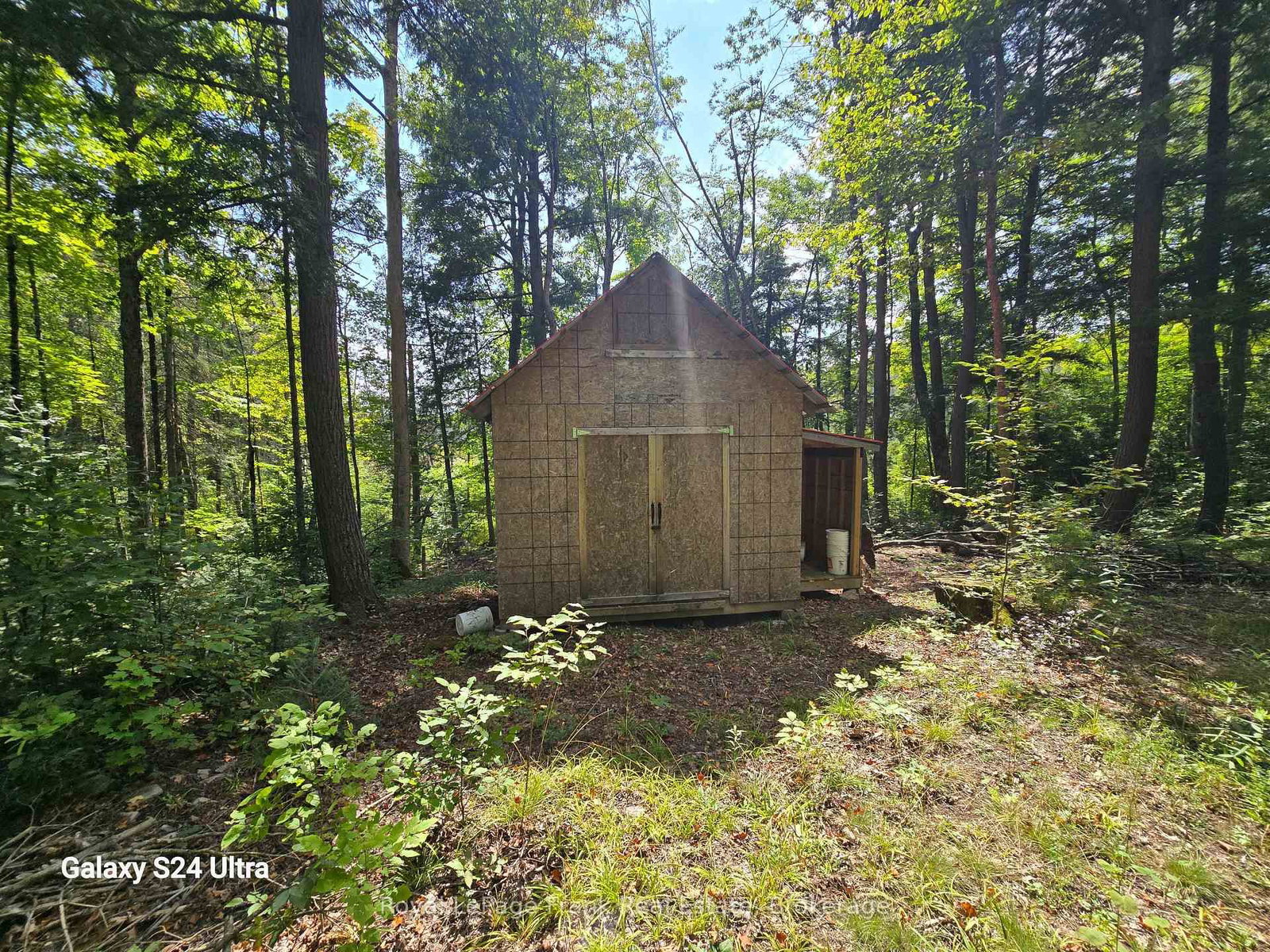 PT LT 17-18 County Road 507 • Trent Lakes, ON photo 13