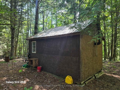 PT LT 17-18 County Road 507 • Trent Lakes, ON photo 6