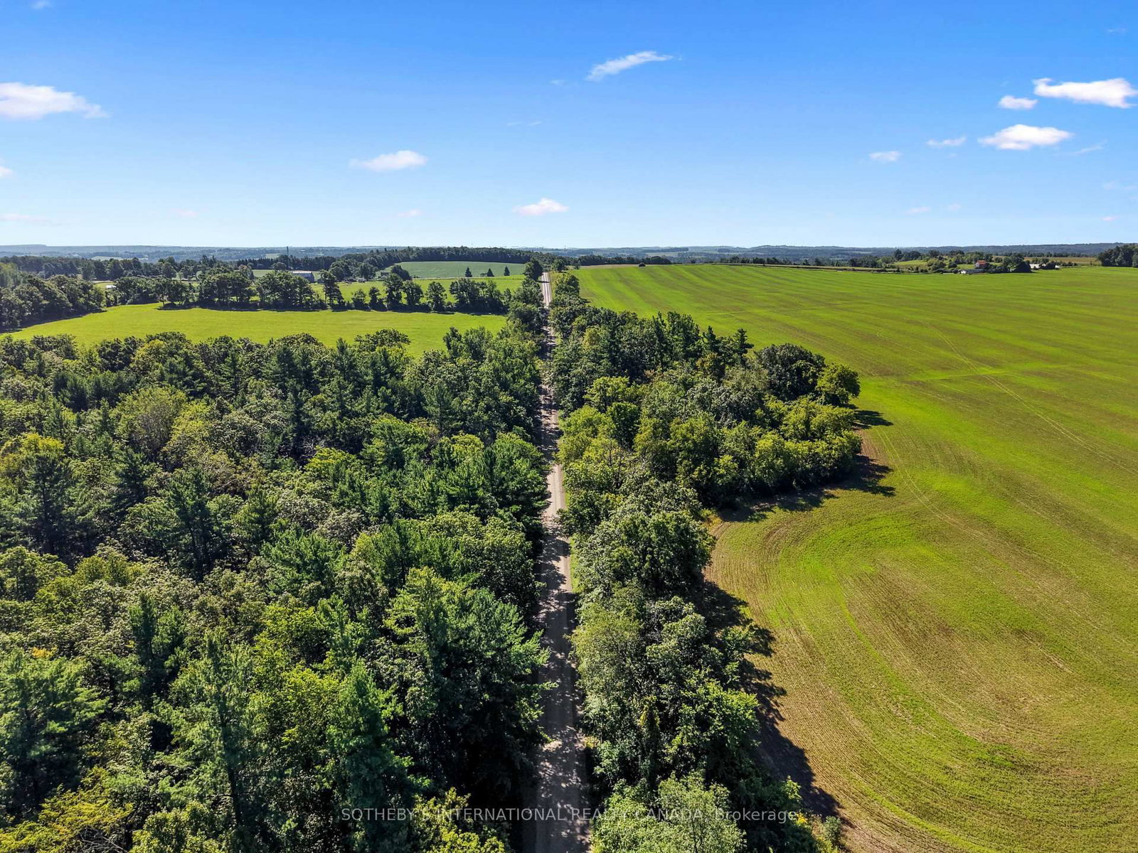 83 Oak Heights Road • Trent Hills, ON photo 5