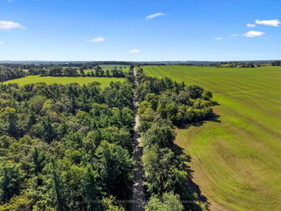 83 Oak Heights Road • Trent Hills, ON photo 5