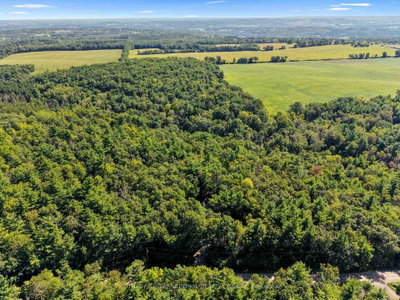 83 Oak Heights Road • Trent Hills, ON photo 8