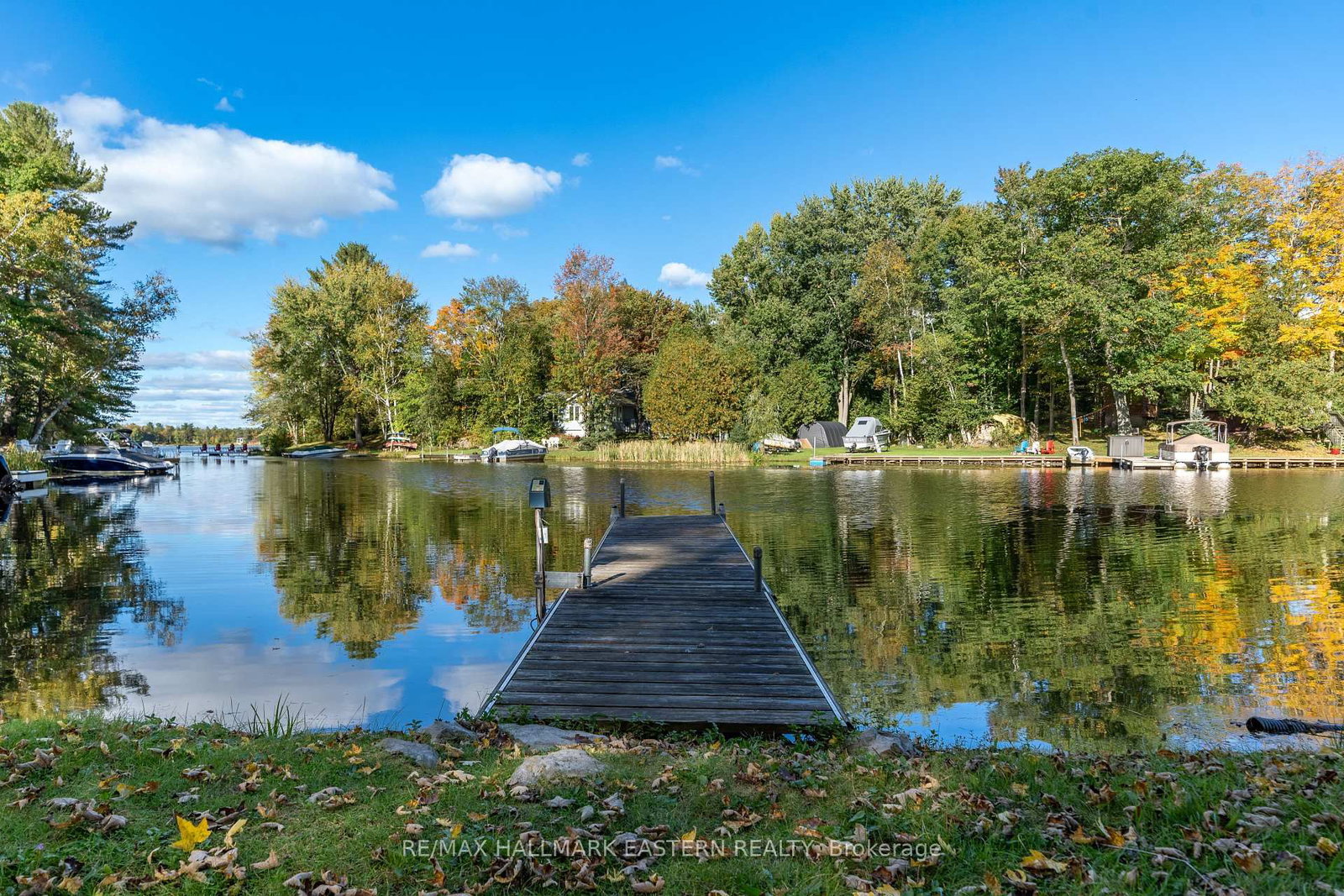 2335 Lakeside Road • Douro-Dummer, ON photo 1