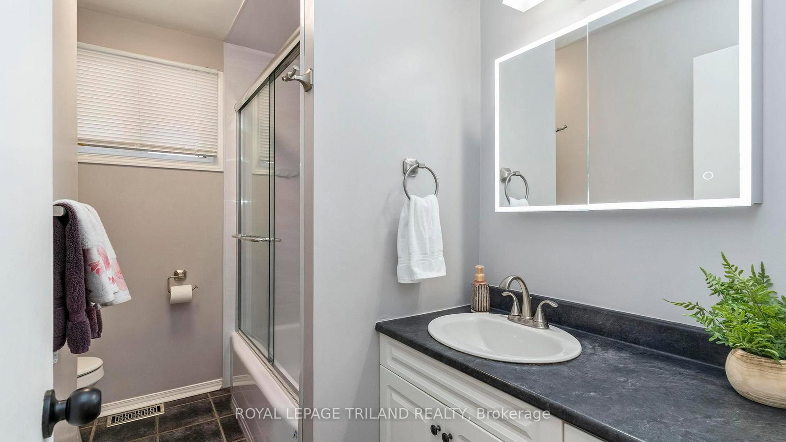 27 PATIENCE Crescent • London South, ON photo 25