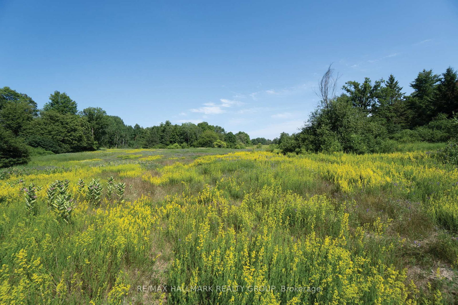 00 Galetta Side Road • Fitzroy Harbour, ON photo 15