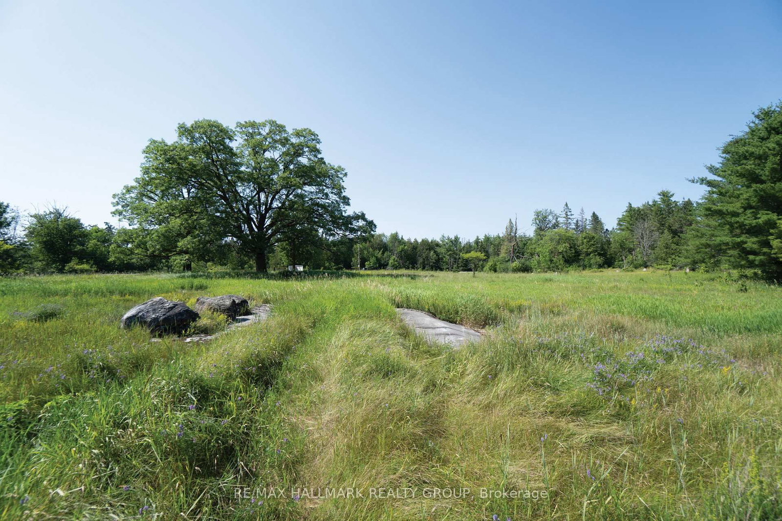 00 Galetta Side Road • Fitzroy Harbour, ON photo 16