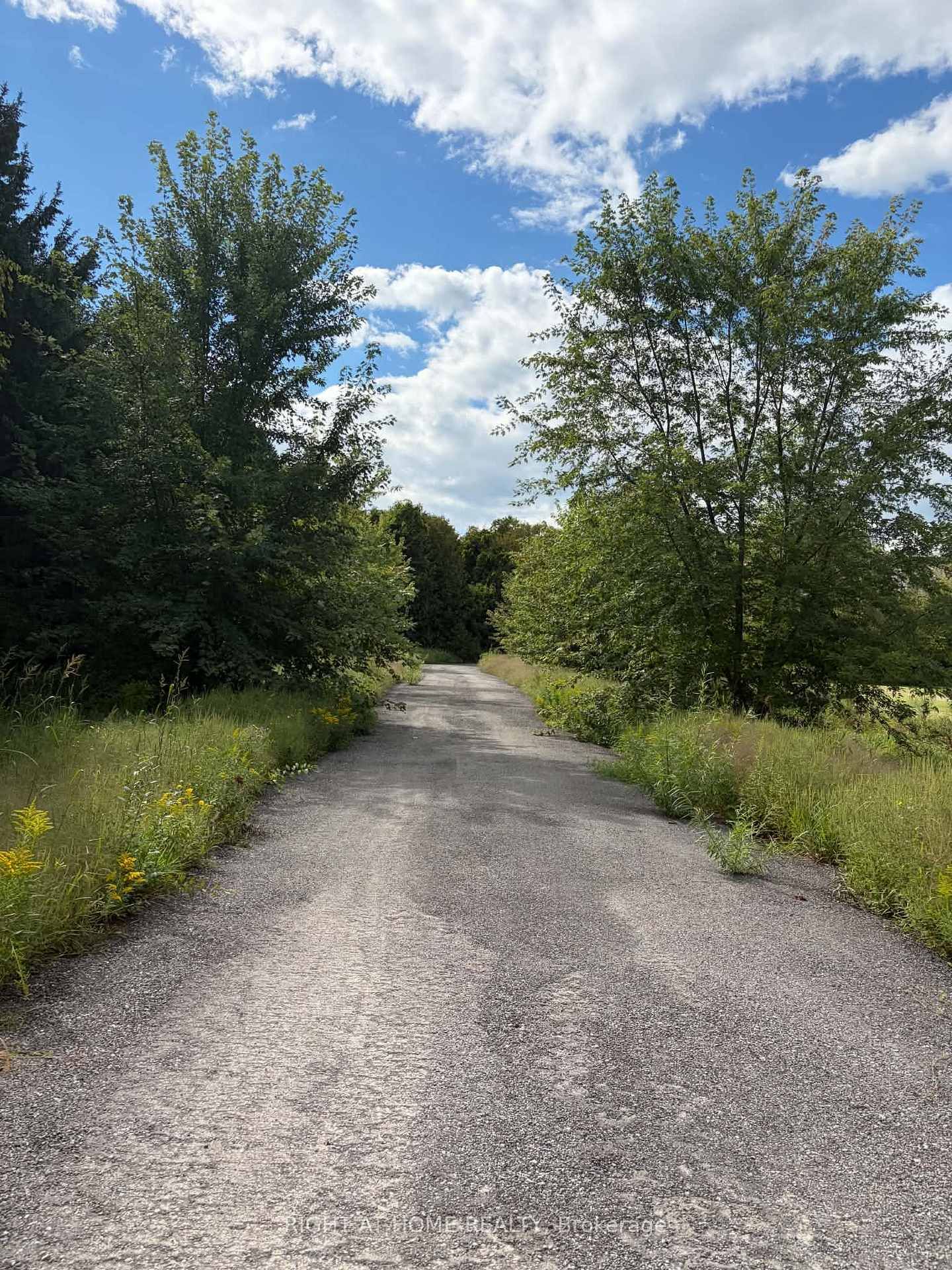 5218 Hillview Drive • Hamilton Township, ON photo 16