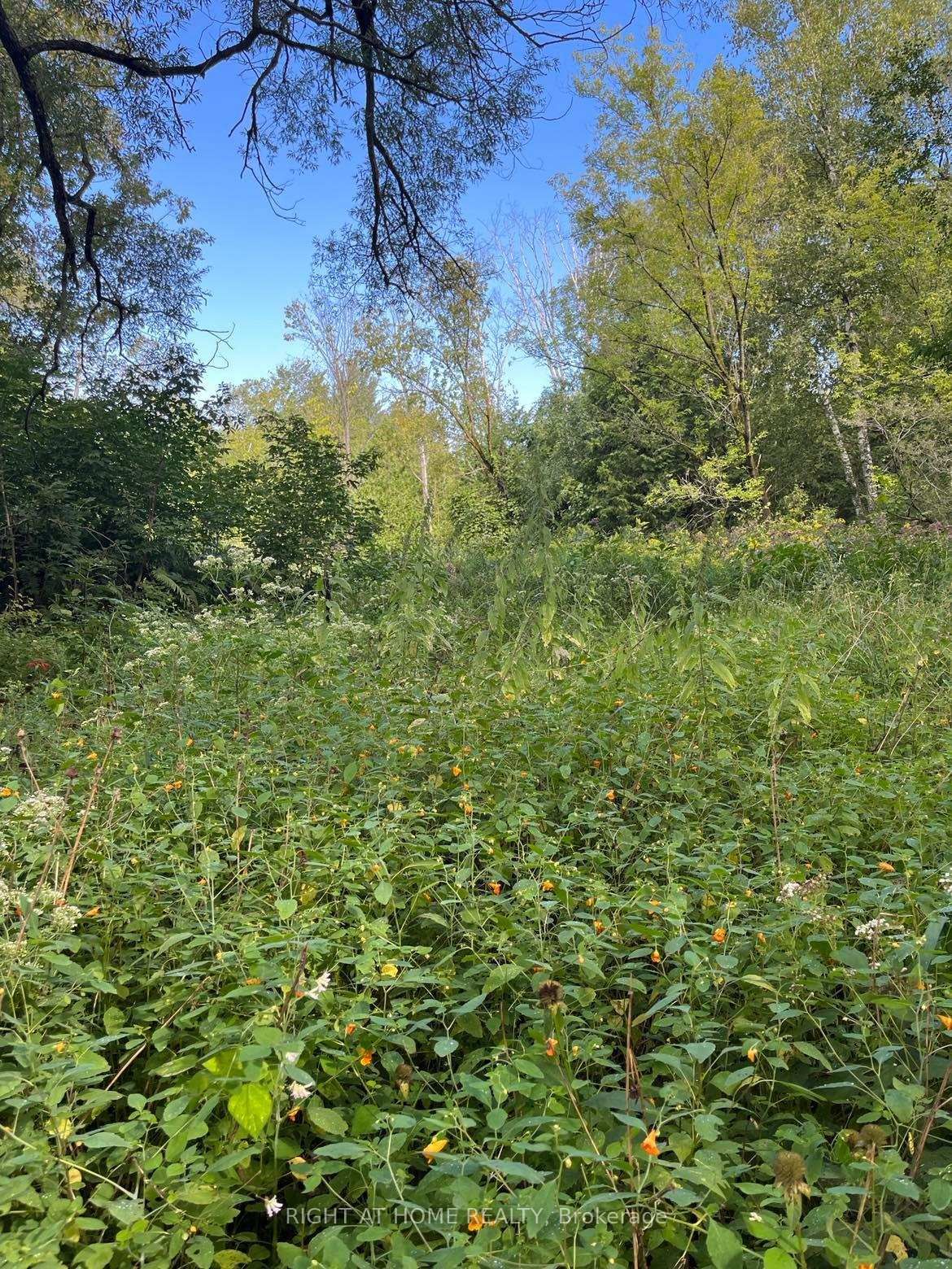 5218 Hillview Drive • Hamilton Township, ON photo 4