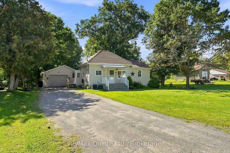 38 Madoc Street