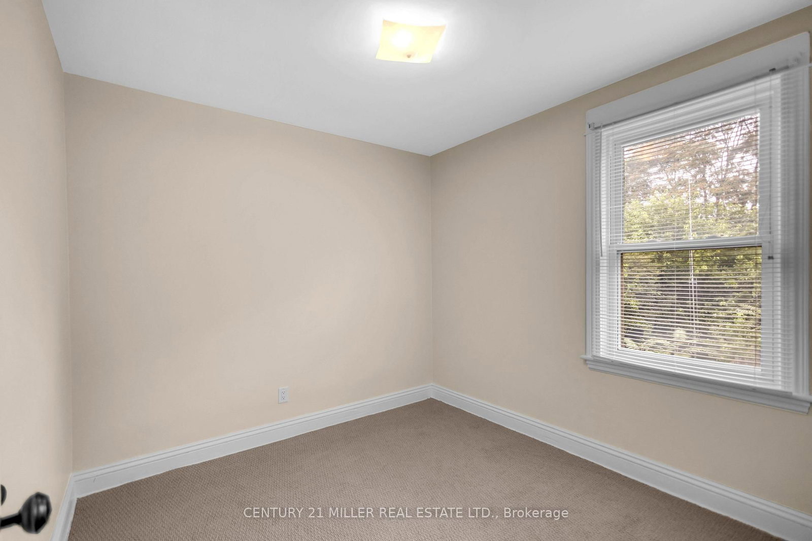 123 Hillyard Street • Hamilton, ON photo 13