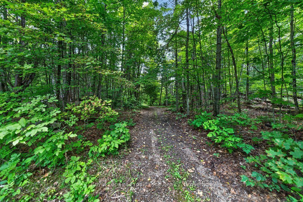 1139 River Road • Ompah, ON photo 49
