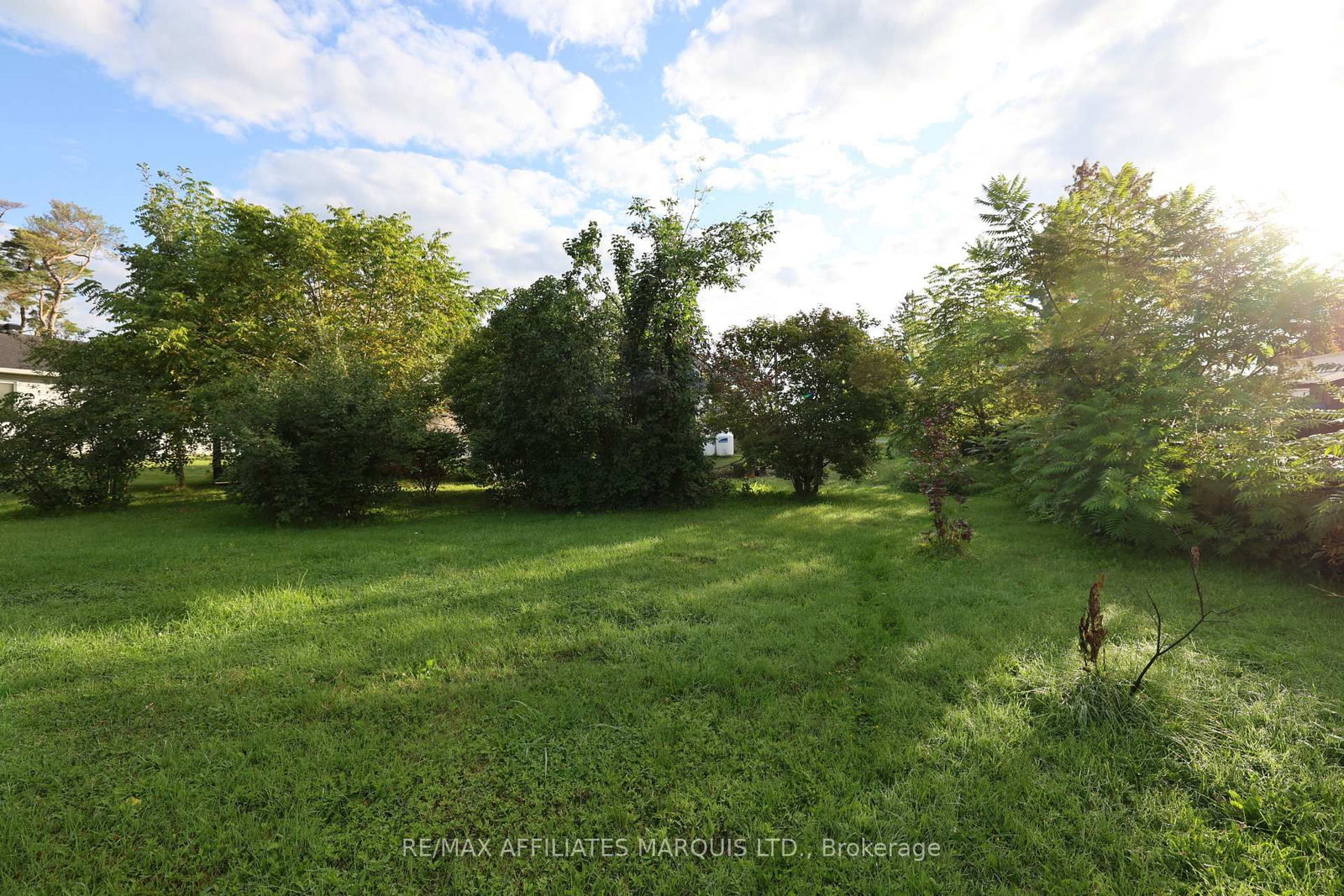 56 Marlborough Street • North Glengarry, ON photo 5
