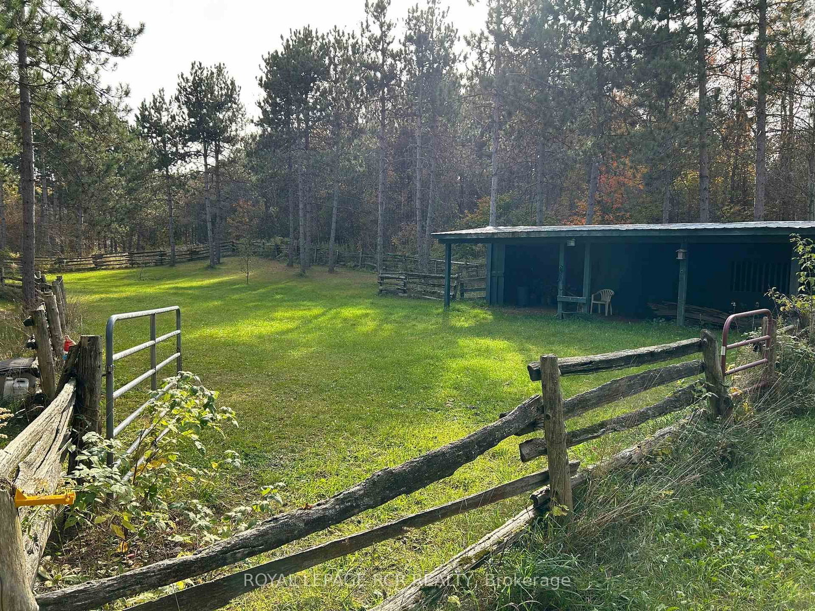 708321 County Rd 21 • Mulmur, ON photo 29