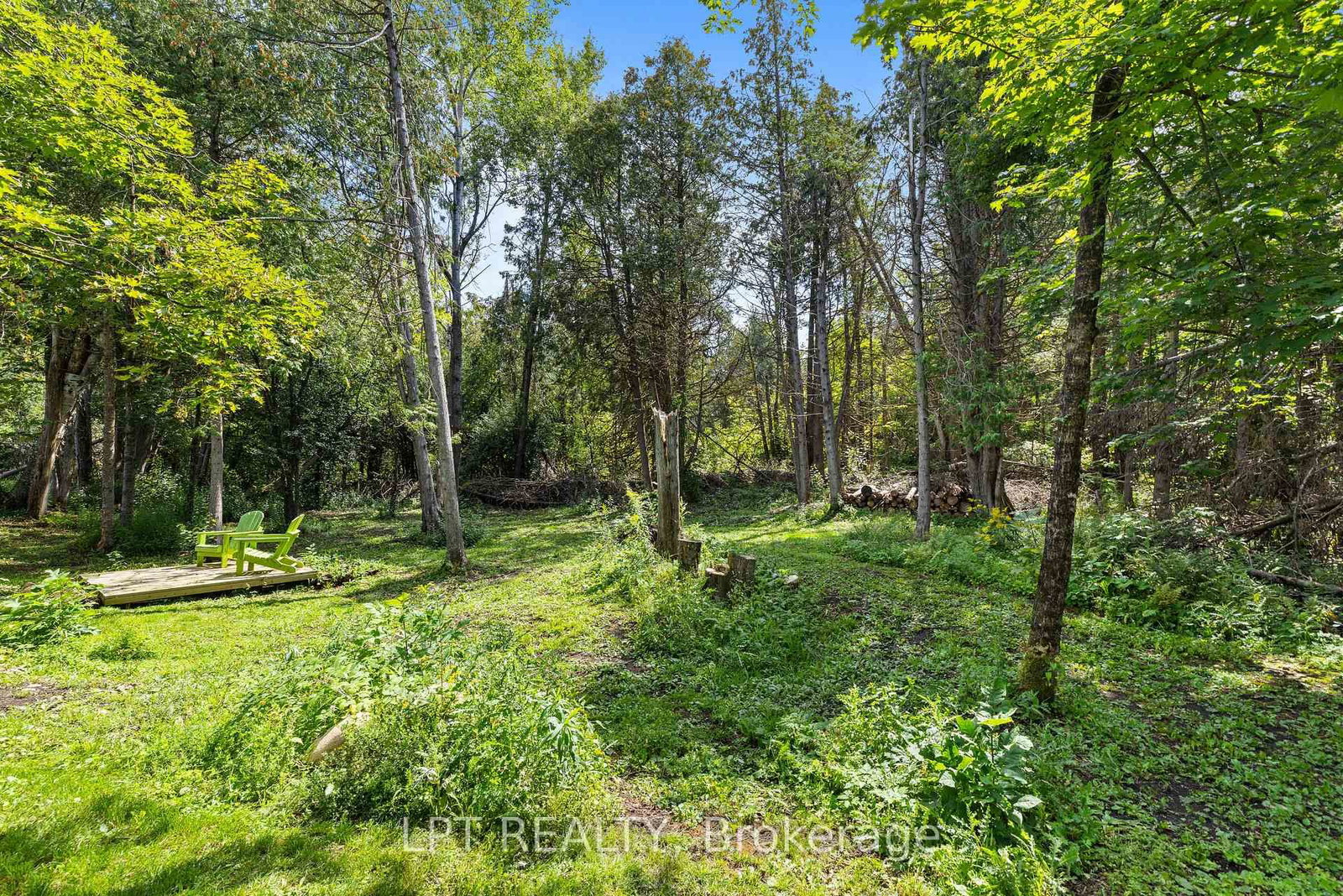 449 Bulmers Road • Kawartha Lakes, ON photo 43