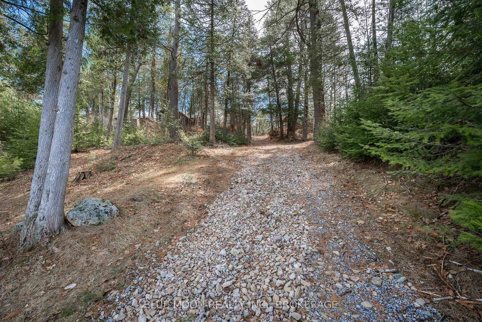 500 Clear Lake Lane 31A • Maberly, ON photo 31