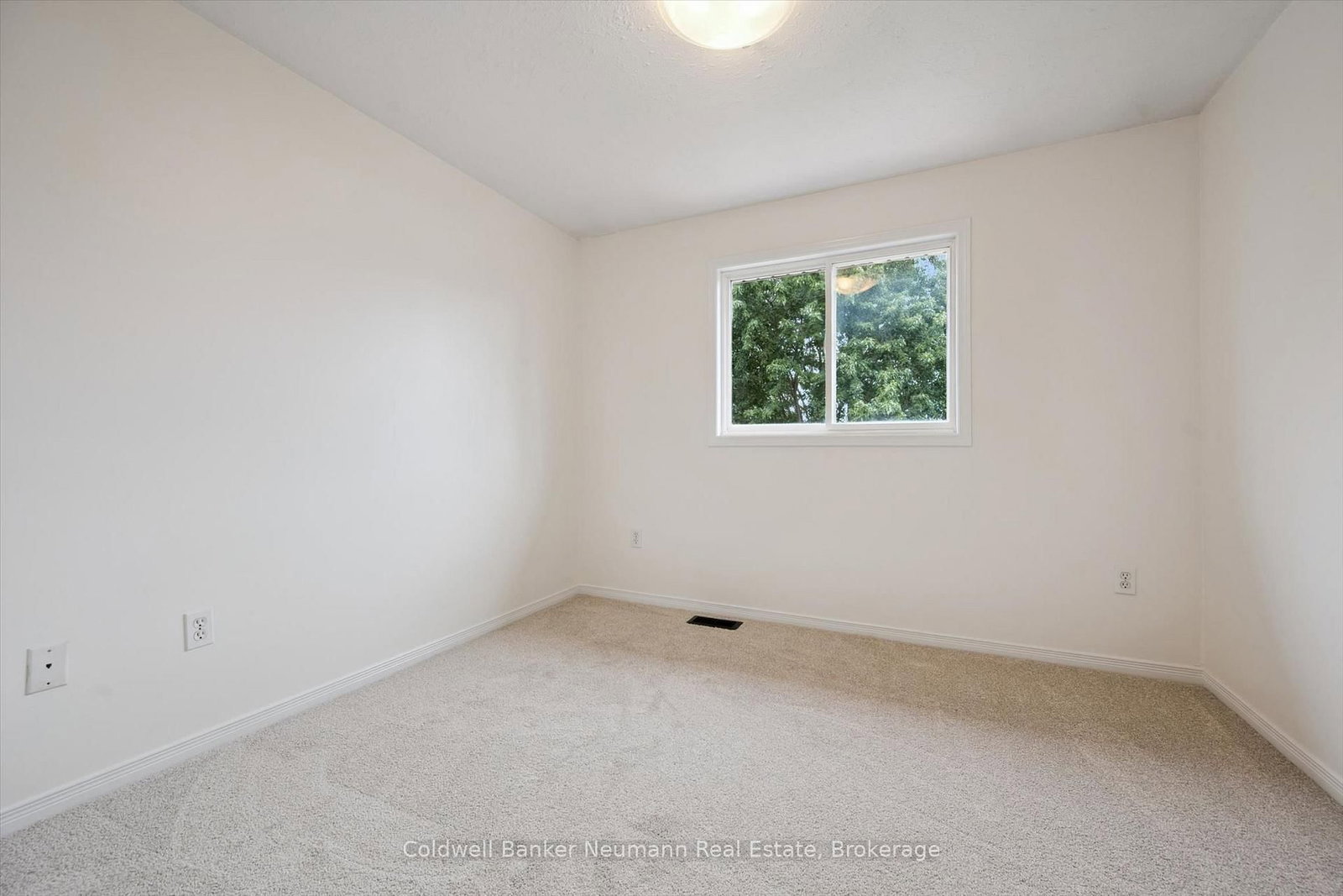 24 Lee Street • Guelph, ON photo 37
