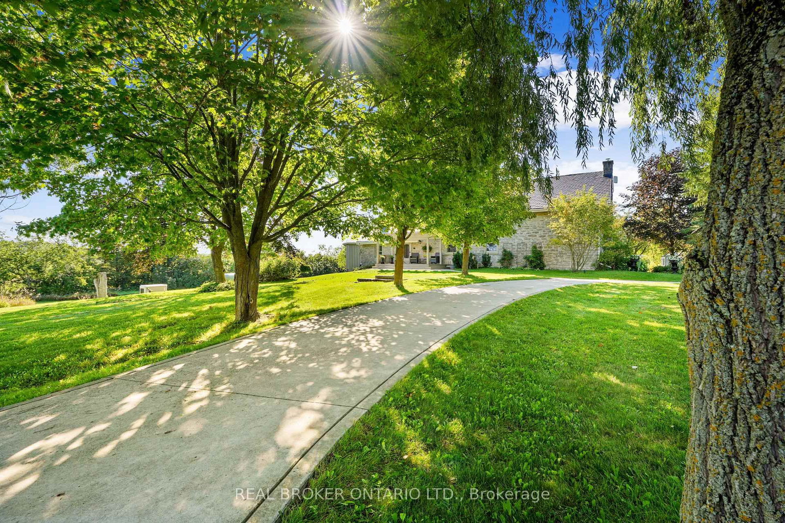 1041 Petherick's Road • Trent Hills, ON photo 3