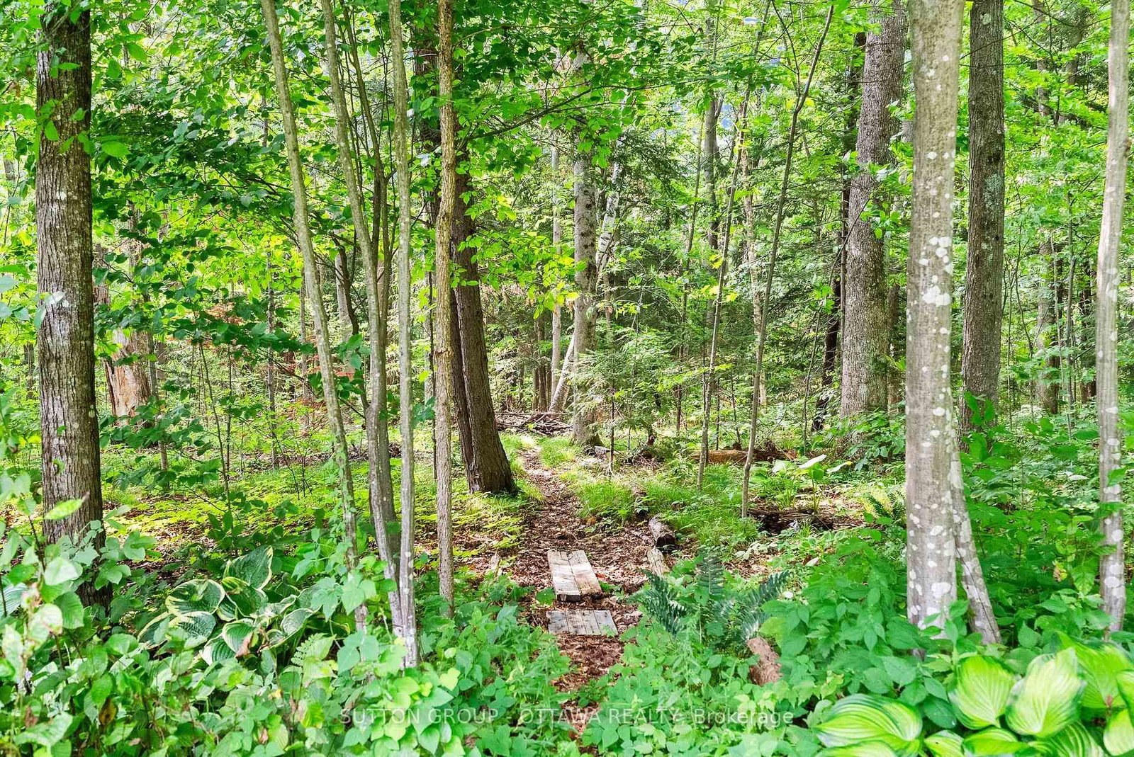 365 Haskins Road • North Grenville, ON photo 25