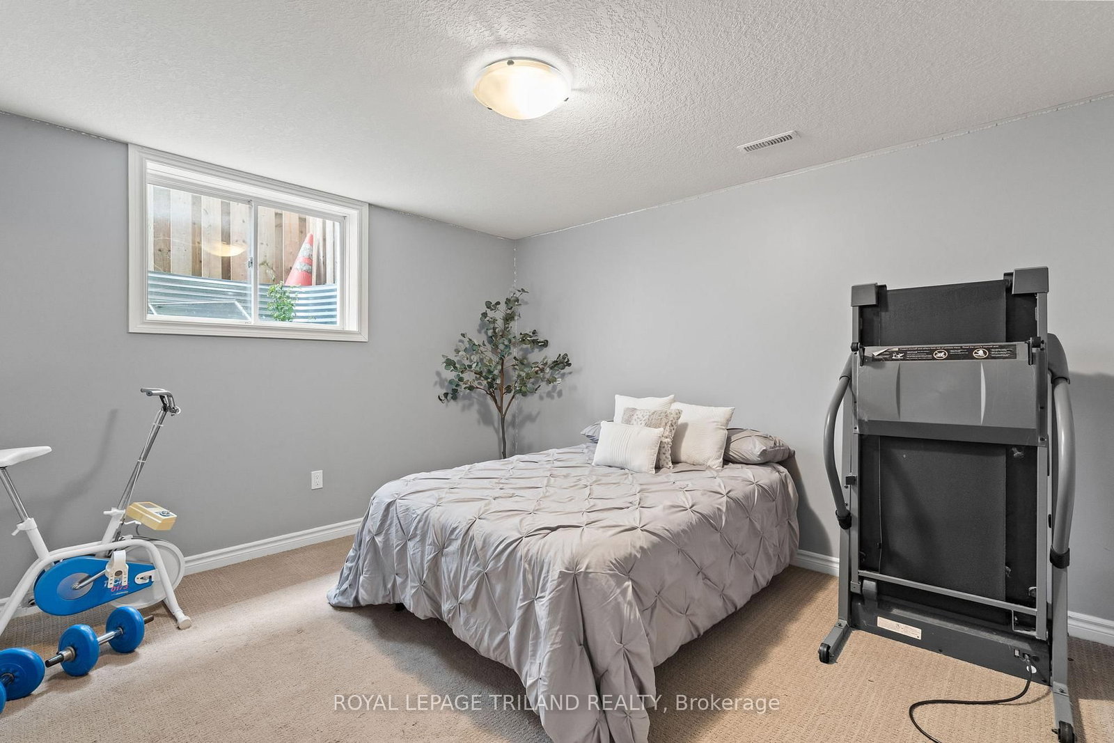 38 LEESBORO Trail • Thames Centre, ON photo 28