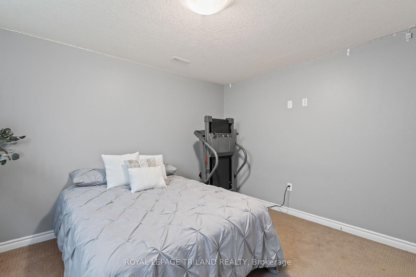 38 LEESBORO Trail • Thames Centre, ON photo 29