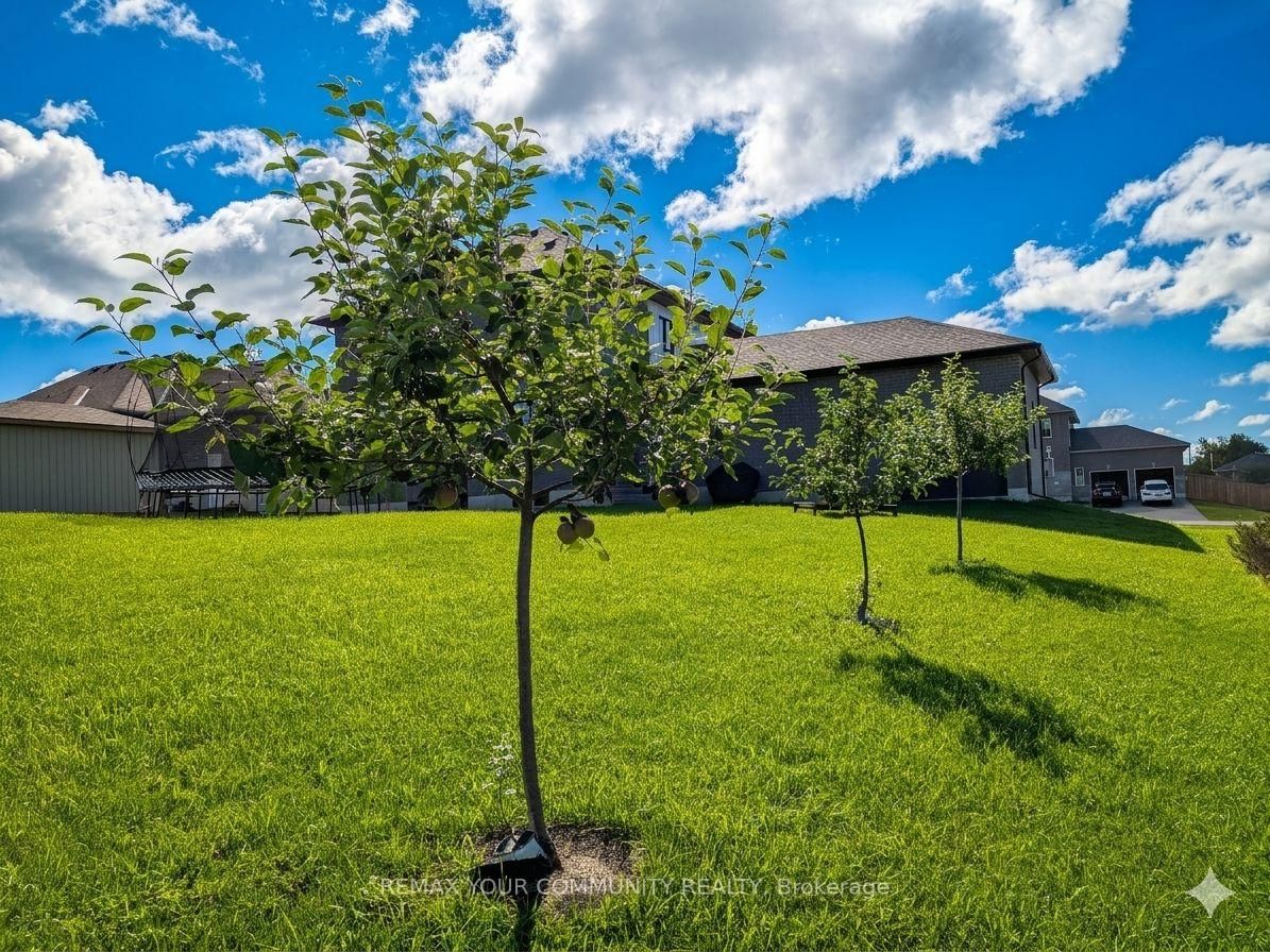 14 McCrae Crescent • Kawartha Lakes, ON photo 30
