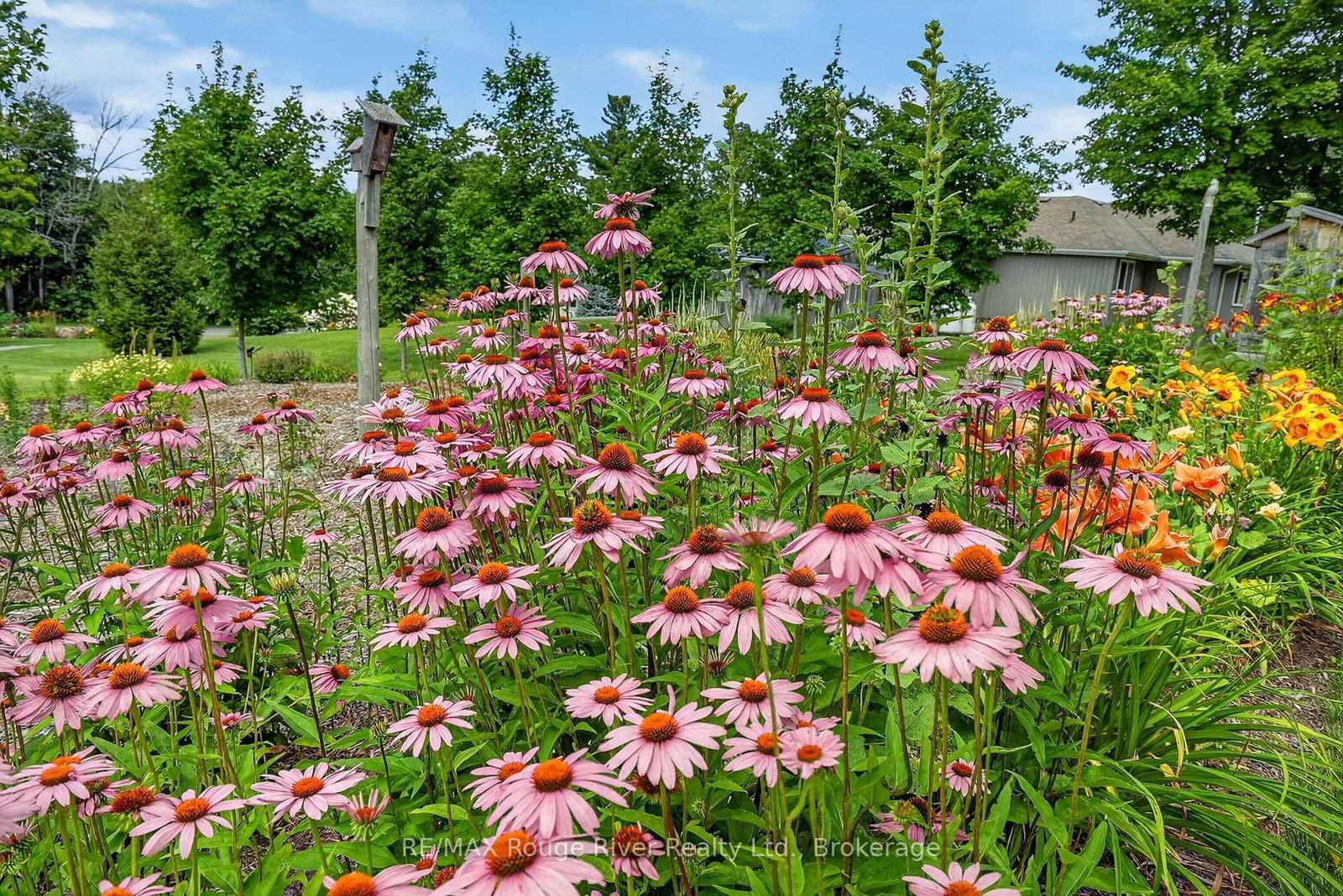 9285 Turk Road • Hamilton Township, ON photo 37