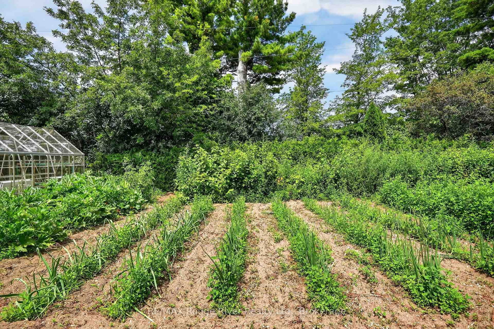9285 Turk Road • Hamilton Township, ON photo 40