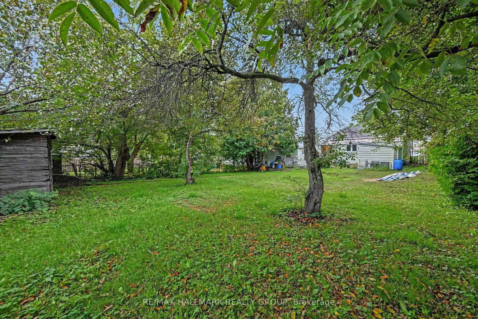 617 Roy Street W • Pembroke, ON photo 28