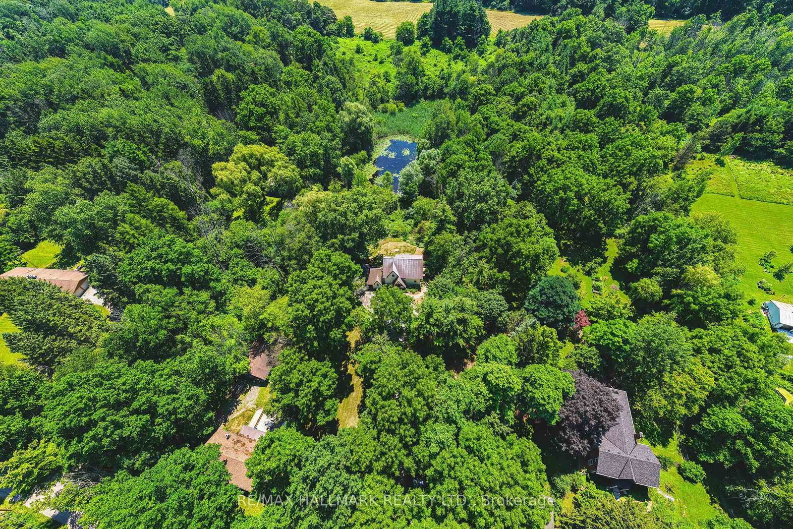 1548 Mineral Springs Road • Hamilton, ON photo 4