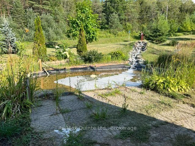 1874 Stockdale Road • Hastings, ON photo 6