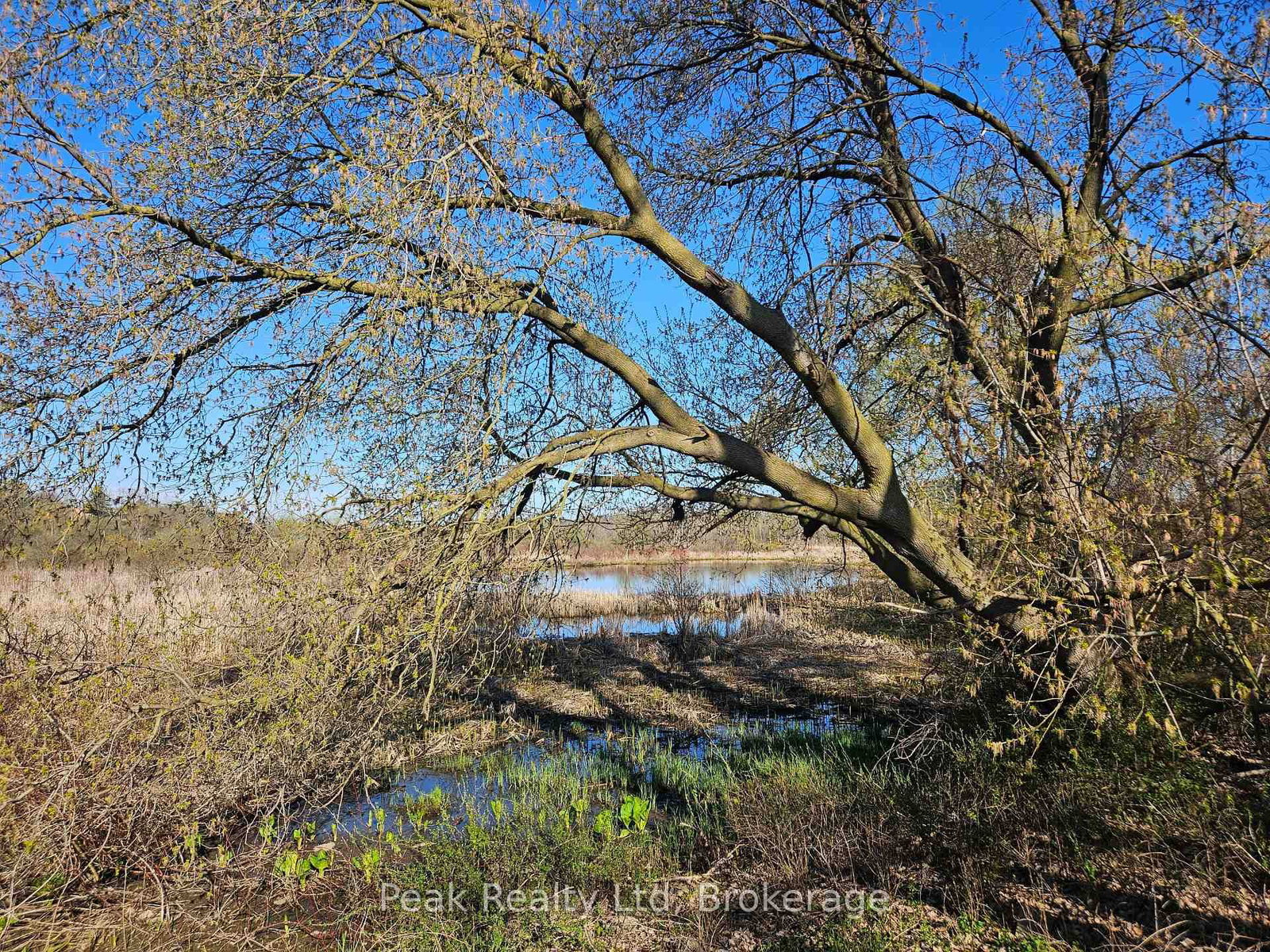 122 Keats Drive • Woodstock, ON photo 15