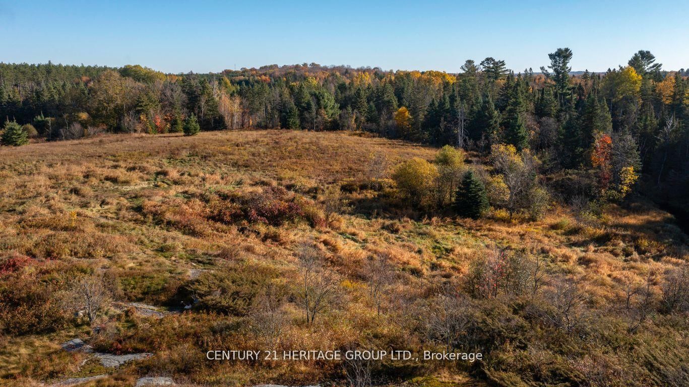 0 Farleys Road • Whitestone, ON photo 4