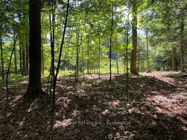 Vacant Land for sale at PT LT 15 CON 13 Alton Road, Minden Hills, Ontario, K0M 2K0 - Snowdon - MLS: X13759354