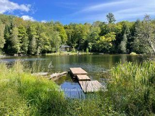 PT LT 15 CON 13 Alton Road • Minden Hills, ON photo 10