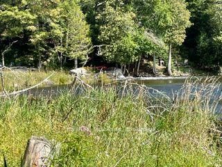 PT LT 15 CON 13 Alton Road • Minden Hills, ON photo 11