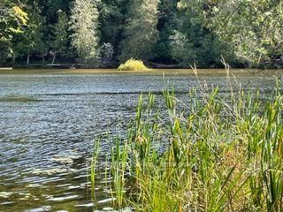 PT LT 15 CON 13 Alton Road • Minden Hills, ON photo 12