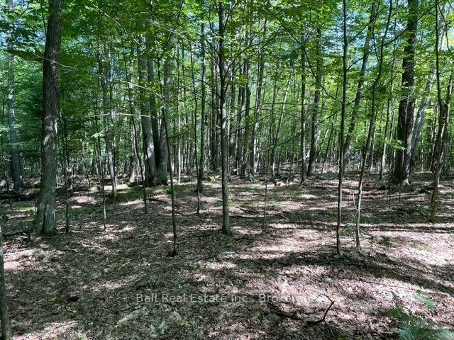 PT LT 15 CON 13 Alton Road • Minden Hills, ON photo 4