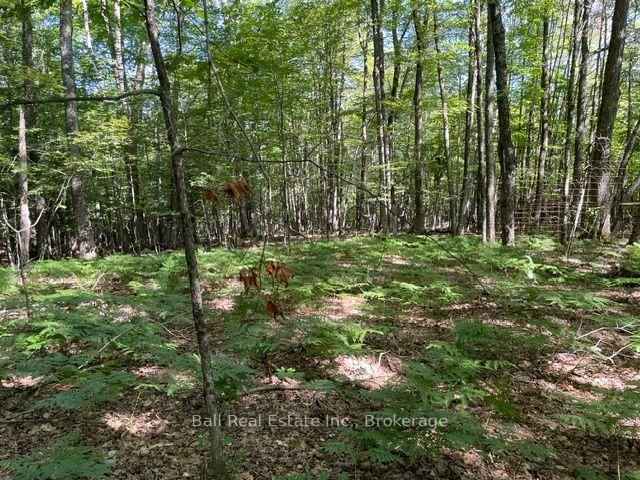 PT LT 15 CON 13 Alton Road • Minden Hills, ON photo 7