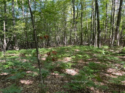 PT LT 15 CON 13 Alton Road • Minden Hills, ON photo 7