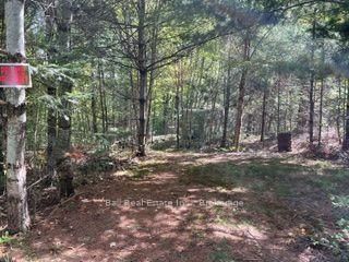 PT LT 15 CON 13 Alton Road • Minden Hills, ON photo 8