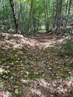 PT LT 15 CON 13 Alton Road • Minden Hills, ON photo 9