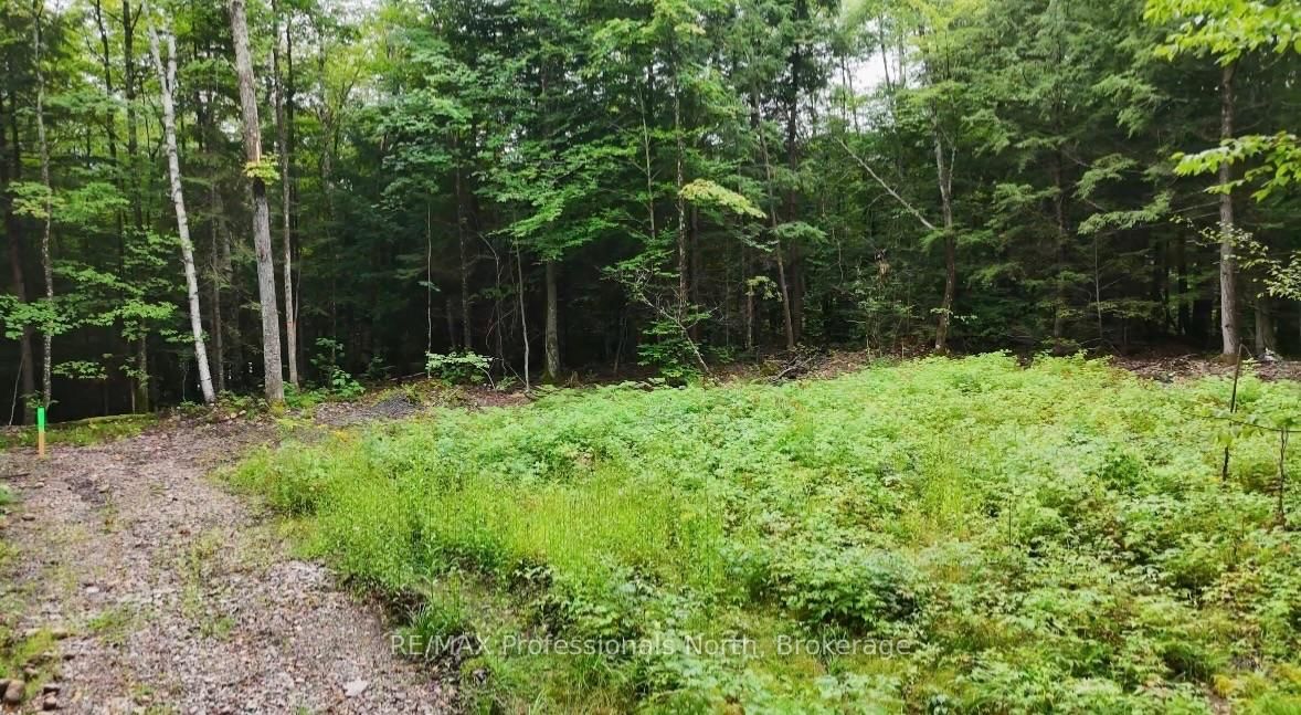 1211 Hawk Valley Road • Algonquin Highlands, ON photo 10