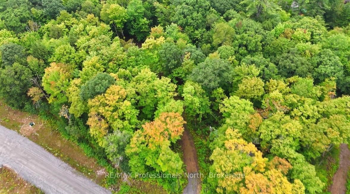 1211 Hawk Valley Road • Algonquin Highlands, ON photo 11