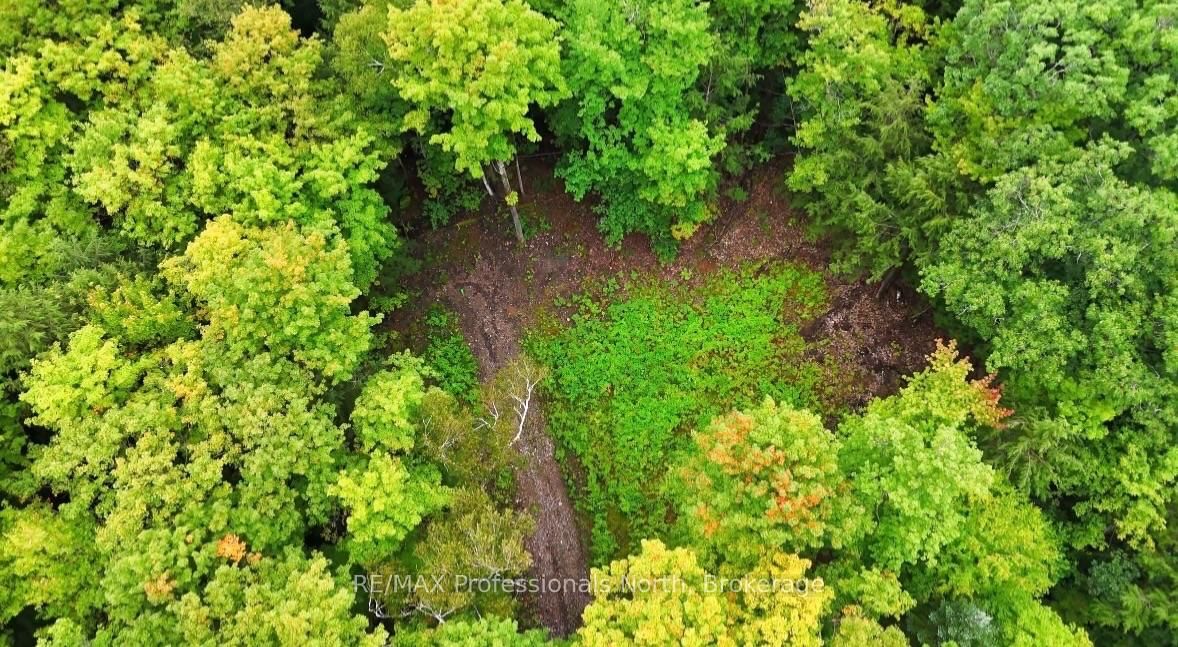 1211 Hawk Valley Road • Algonquin Highlands, ON photo 12