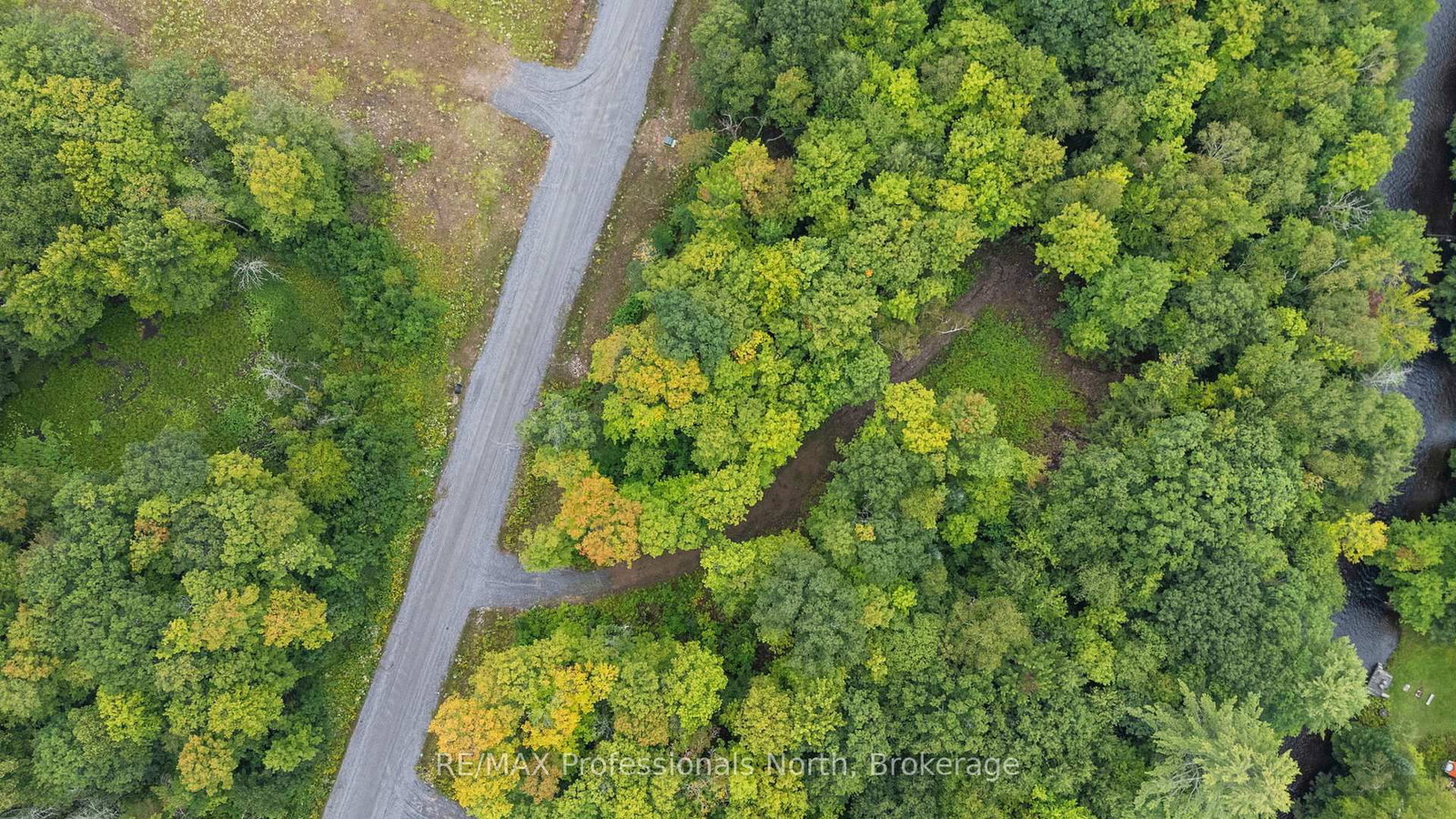 1211 Hawk Valley Road • Algonquin Highlands, ON photo 3
