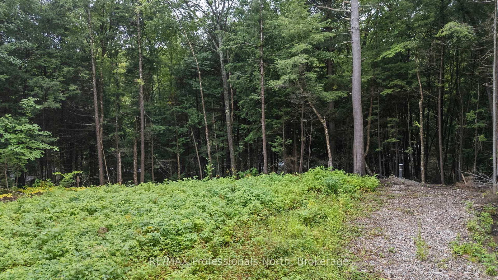 1211 Hawk Valley Road • Algonquin Highlands, ON photo 6