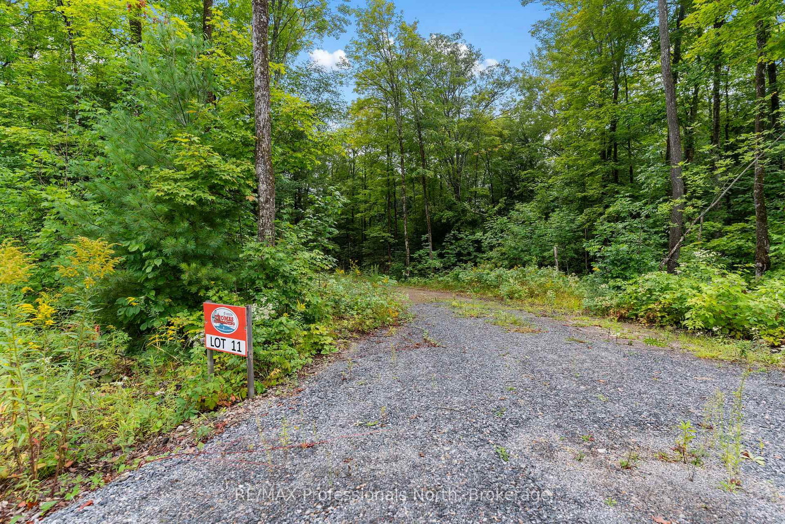 1211 Hawk Valley Road • Algonquin Highlands, ON photo 7